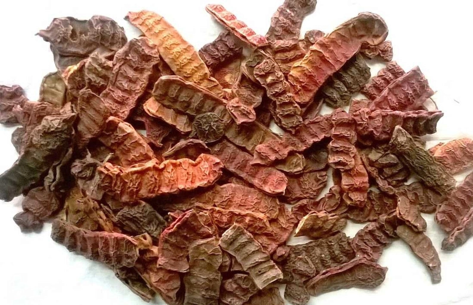 EtnoBotanika Organic Shikakai - 100 g