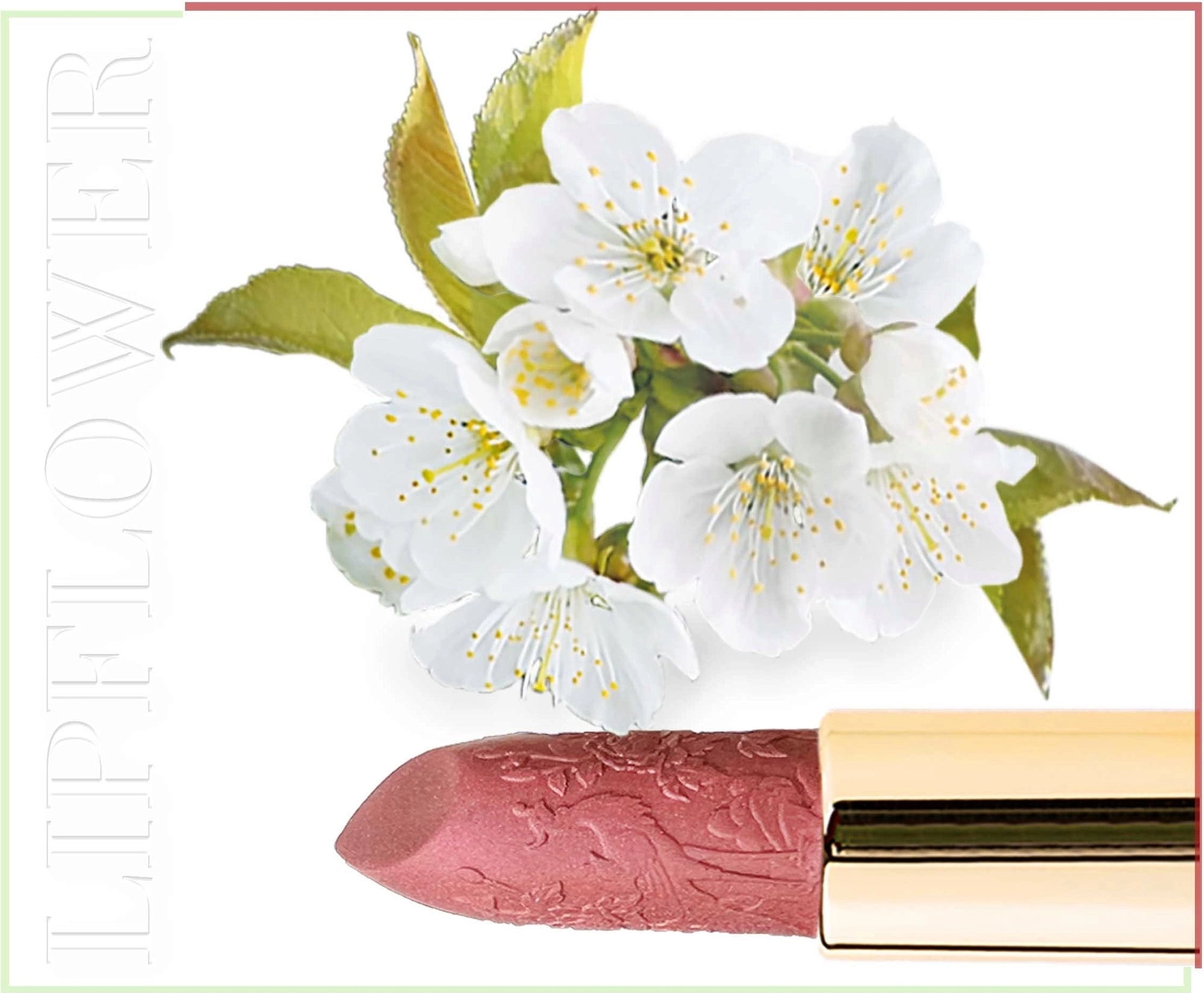 Shaoyun Lip Flower Kirschblüte Nr. 194 - 3,60 g