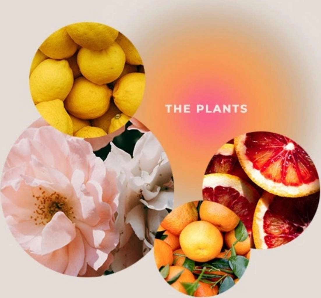 GIVING LOVE TO Körper-& Massageöl "Seelenglück Pflanzenreich" - The Plants - 200 ml