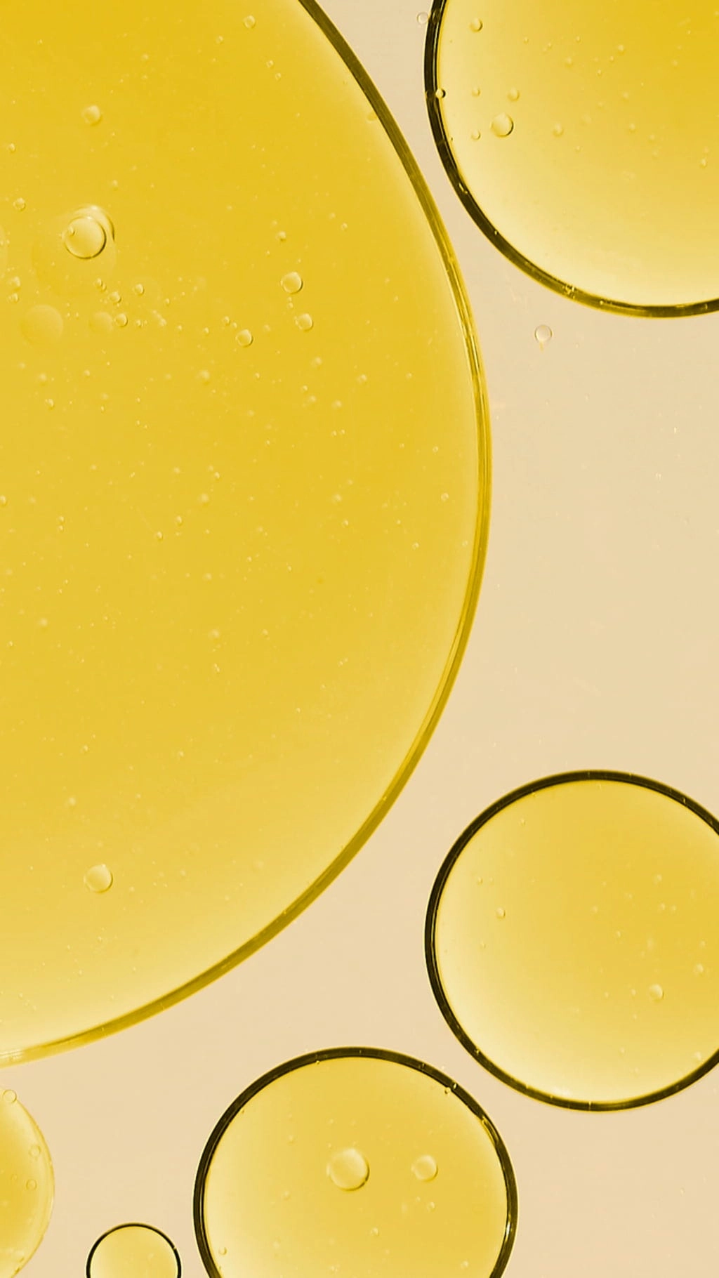 Melvita Jojoba Oil - 50 ml