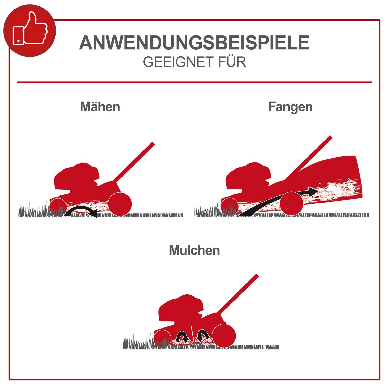 Benzin Rasenmäher MS175-51 Scheppach - 5,4 PS | 51cm Schnittbreite | Radantrieb | inkl. Motoröl