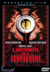 Labyrinth des Schreckens (DVD)