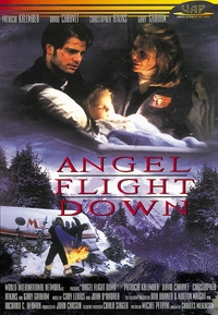 Angel Flight Down (DVD)