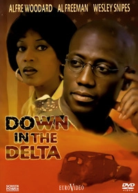Down in the Delta (DVD)