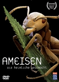 Ameisen (DVD)