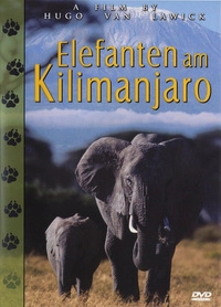 Elefanten am Kilimanjaro (DVD)