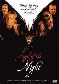 Angel of the Night - Engel der Finsternis (DVD)