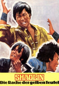 Shaolin - Die Rache der gelben Teufel (DVD)