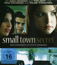 Small Town Secret (DVD)