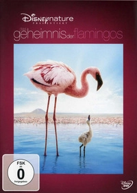 Das Geheimnis der Flamingos (DVD)