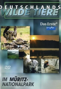Deutschlands wilde Tiere - Im Müritz-Nationalpark (DVD)