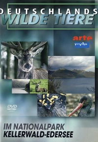 Deutschlands wilde Tiere - Im Nationalpark Kellerwald-Edersee (DVD)