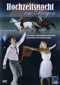 Hochzeitsnacht im Regen (DVD)