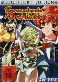 Berauschende Orchidee - Volume 1 (DVD)