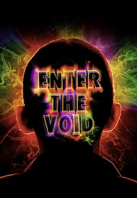 Enter the Void (DVD)