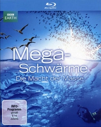 Mega-Schwärme (DVD)
