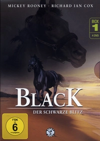 Black - Der schwarze Blitz - Box 4: Disc 1 - Episoden 49 - 52 (DVD)