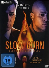 Slow Burn - Verführerische Falle (Blu-ray)