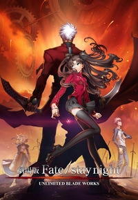 Fate / Stay Night (DVD)
