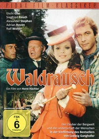 Waldrausch (DVD)