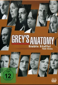 Grey's Anatomy - Staffel 7 - Box 1: Disc 1 - Episoden 1 - 4 (DVD)
