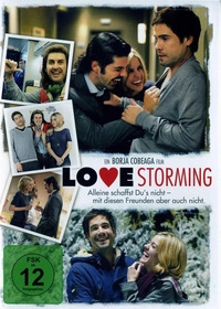 Love Storming - Weihnachten, Liebe und andere Katastrophen (DVD)