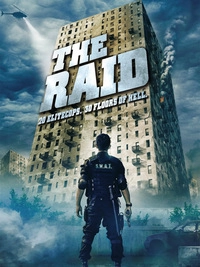 The Raid (DVD)