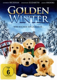 Golden Winter (DVD)