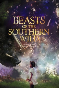 Beasts of the Southern Wild (DVD)