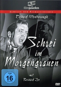 Schrei im Morgengrauen (DVD)