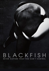 Blackfish (DVD)