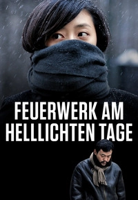 Feuerwerk am helllichten Tage (DVD)