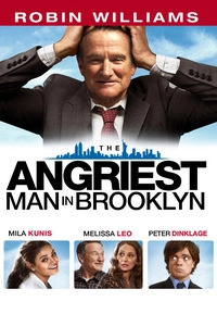 The Angriest Man in Brooklyn (DVD)