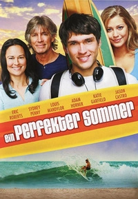 Ein perfekter Sommer (DVD)