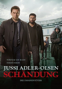 Schändung (DVD)