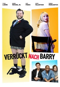 Verrückt nach Barry (DVD)