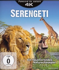 Serengeti - Ein faszinierendes Naturschauspiel (4K UHD)