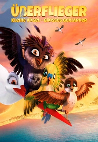 Überflieger (DVD)