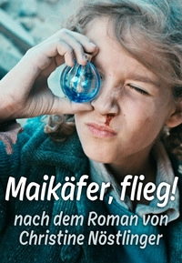 Maikäfer, flieg! (DVD)