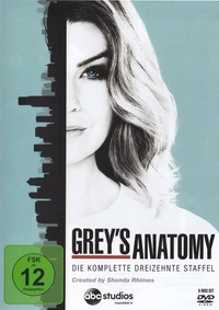 Grey's Anatomy - Staffel 13 - Disc 1 - Episoden 1 - 4 (DVD)