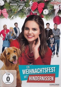 Ein Weihnachtsfest mit Hindernissen (DVD)