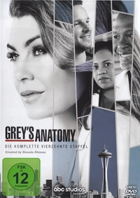 Grey's Anatomy - Staffel 14 - Disc 1 - Episoden 1 - 4 (DVD)