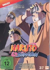 Naruto Shippuden - Staffel 25 - Disc 1 - Episoden 480 - 483 (DVD)