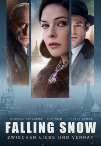 Falling Snow - Die Spionin (DVD)