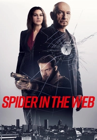 Spider in the Web (DVD)