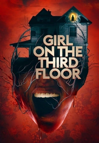 Girl on the Third Floor (DVD)