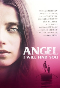 Angel - I Will Find You (DVD)