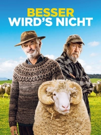 Besser wird's nicht (DVD)