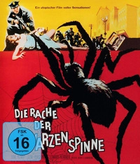 Die Rache der schwarzen Spinne (DVD)