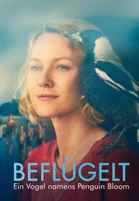 Beflügelt (Blu-ray)